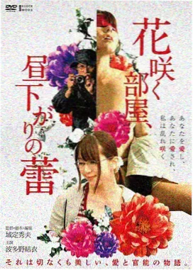 半岛旧事剧集封面